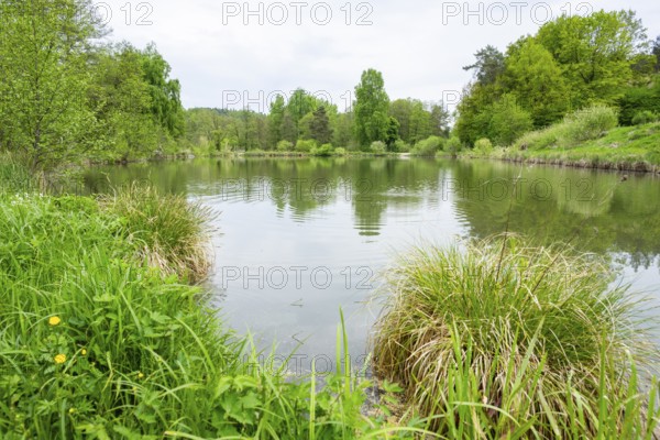 Landscape of a little lake on a cloudy day in spring, Upper Palatinate, Bavaria, Germany