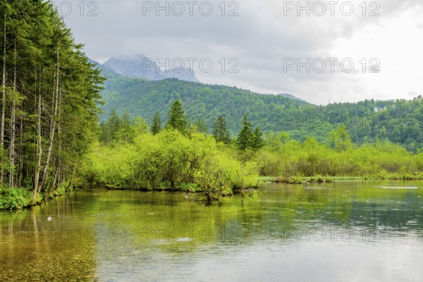 Landscape of Lake Almsee on a rainy day in spring, Salzkammergut, Austria