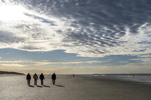 Walkers on the Wadden Sea near the East Frisian island of Spiekeroog, west of the North Sea island, at low tide, wind farm on the coast in the background, Lower Saxony, Germany