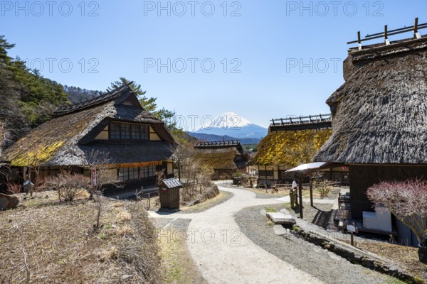 Iyashinosato open-air museum, old Japanese village with traditional houses, at the back volcano Mt. Fuji, Fujikawaguchiko, Saiko, Japón
