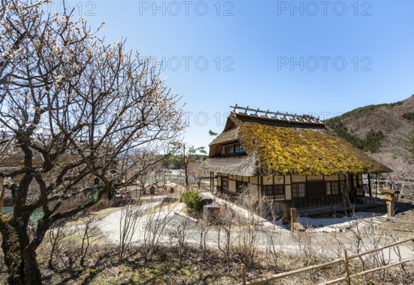 Iyashinosato open-air museum, old Japanese village with traditional houses, Fujikawaguchiko, Saiko, Japan