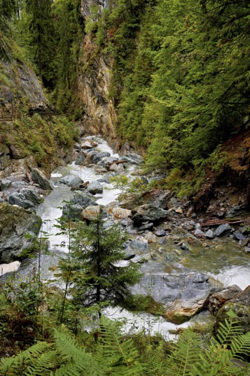 Diosaz mountain river in the gorge, Gorges de la Diosaz, Les Houches, Chamonix-Mont-Blanc, Haute-Savoie, France