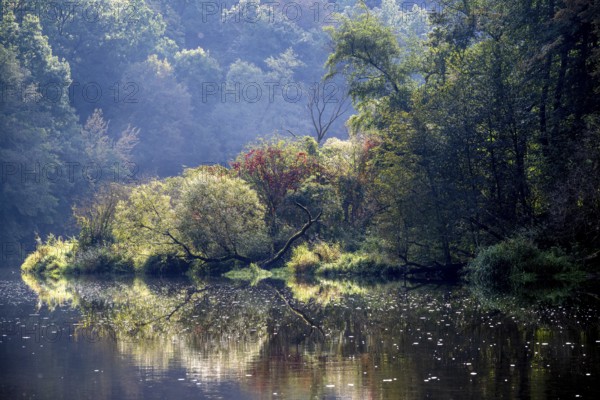 Autumn landscape, trees reflected in water, Thaya River, Thaya Valley National Park, Lower Austria, Austria