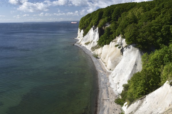 Chalk cliffs, chalk coast on the island of Rügen, Jasmund National Park, Mecklenburg-Western Pomerania, Germany