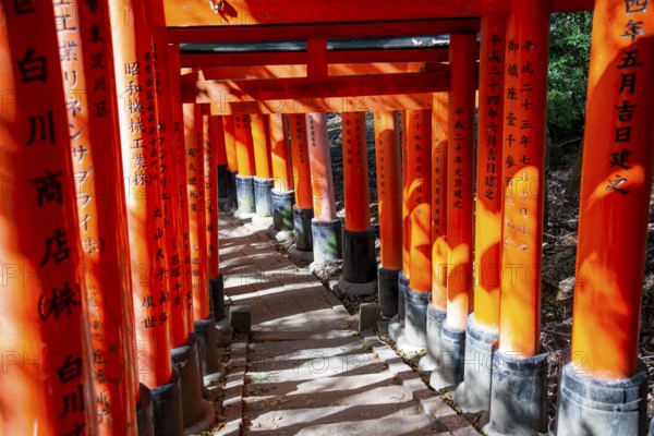 Walk through hundreds of red traditional torii gates, Fushimi Inari Taisha, Shinto Shrine, Fushimi Inari-taisha Okusha Hohaisho, Kyoto, Japan