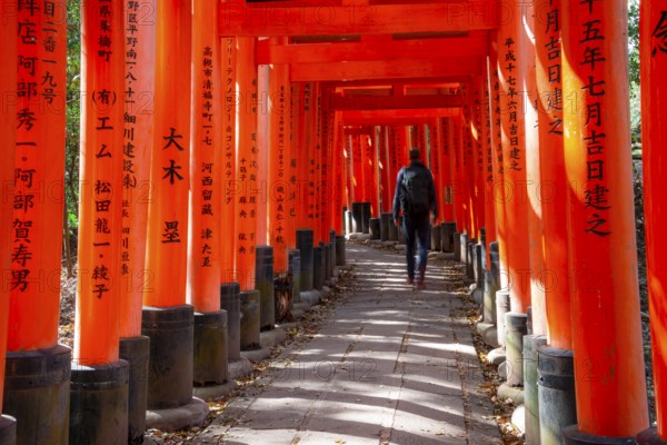 Visitors on a journey through hundreds of red traditional torii gates, Fushimi Inari-taisha, Shinto shrine, long exposure, motion blur, Fushimi Inari-taisha Okusha Hohaisho, Kyoto, Japan