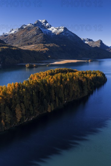 Mountain landscape, mountain lake, larch forest, autumn, autumn color, morning light, sunny, aerial view, Lake Sils, Engadin, Switzerland