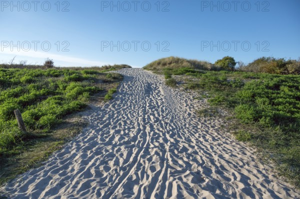 Sandweg zum Ostseestrand, Ahrenshoop, Darß, Mecklenburg-Western Pomerania, Germany