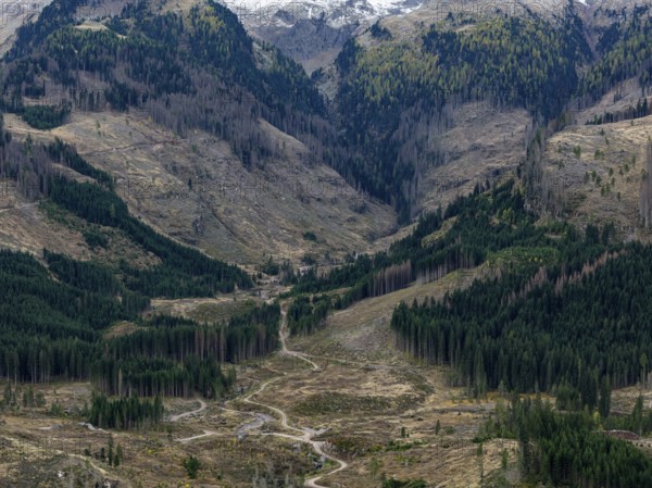 Logging, clearing, clearcut, timber industry, logging, mountain landscape, aerial view, autumn, cloudy, Paneveggio, Trentino, Dolomites