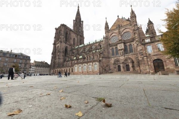Strasbourg Cathedral impresses with its Gothic architecture. Passers-by moves around the square while the trees start to lose their leaves in autumn. Bas Rhin, Alsace, France