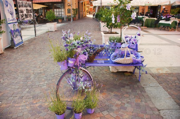 Menaggio, beautiful tourist town on the western shore of Lake Como, market with lavender products, Como province, Lombardy, Italy