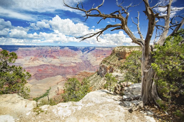 Beautiful landscape of the grand canyon, arizona