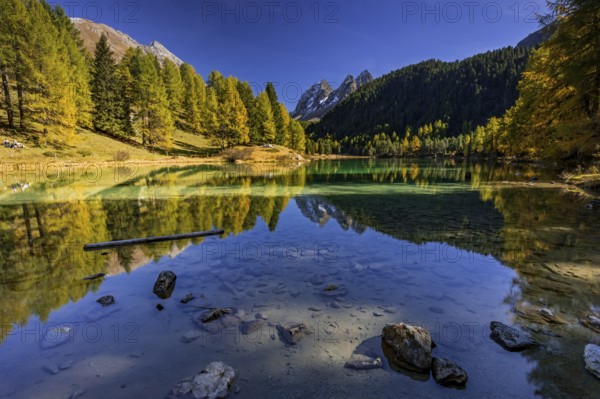 Mountain lake, reflection, mountains, larch forest, autumn discoloration, autumn, sunny, Lake Palpuogna, Engadin, Switzerland