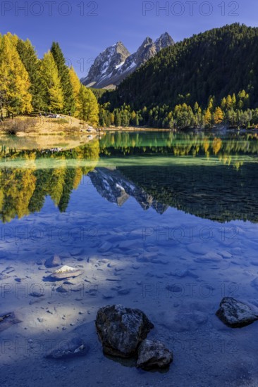 Mountain lake, reflection, mountains, larch forest, autumn discoloration, autumn, sunny, Lake Palpuogna, Engadin, Switzerland