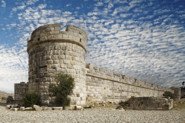 Inner fortification, olive tree, bastion, Neratzia fortress, also Nerantzia, castle, first mentioned in 1395, former fortress of the Order of St. John, today ruin, city of Kos, island of Kos, Dodecanese islands, Greece, eastern Adriatic, Mediterranean