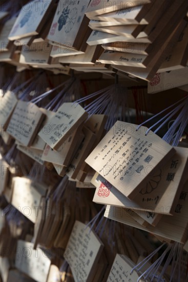 Ema, small wooden tablets with wishes and prayers, hung so that the Kami spirits or gods can receive them, Meiji Jingu, Meiji Shrine, Shinto Shrine, Yoyogi Park, Shibuya, Tokyo