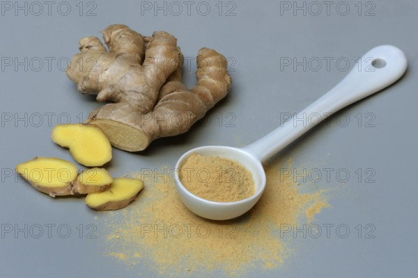 Ginger root and ginger powder in spoon, Zingiber officinale