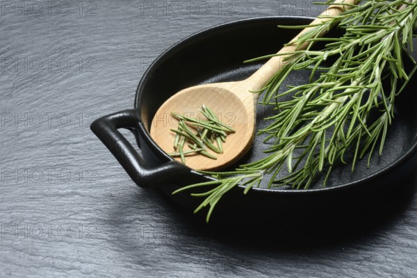 Rosemary, rosemary leaves and rosemary sprig with cooking pot