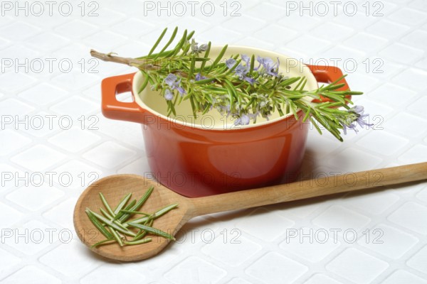 Rosemary, rosemary sprig on cooking spoon with cooking pot
