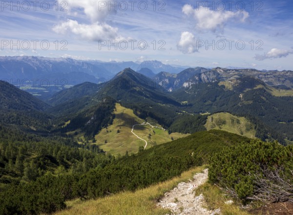 Hiking trail on the Braunedlkogel, Postalm, Osterhorn Group, Salzkammergut, Province of Salzburg, Austria