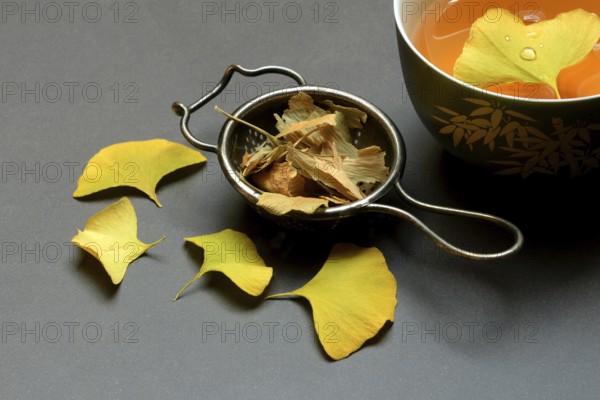 Ginkgo leaves in tea strainer and tea in bowl, ginkgo biloba
