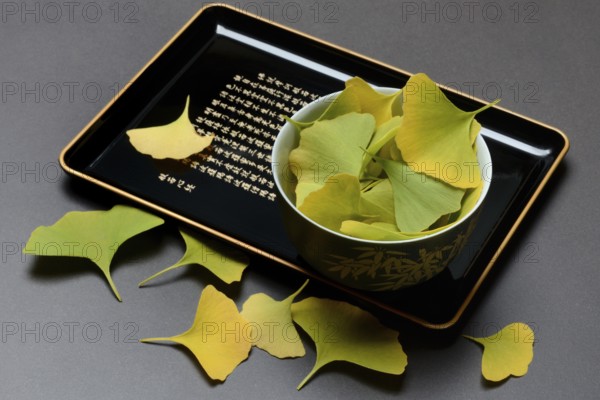 Ginkgo leaves in shell on tray, ginkgo biloba