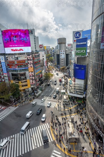 Modern houses with colorful neon signs and large road intersection, Shibuya Crossing from above, crowd at crossroads with crosswalks, Shibuya, Tokyo, Japan