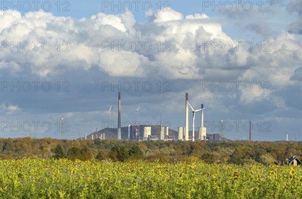 Symboldild with clouds Cumulus calvus for wind energy at the top, Uniper power plant with fossil energy the largest hard coal-fired power plant in Germany, at the bottom in the foreground sunflower symbol for solar energy, North Rhine-Westphalia, Germany