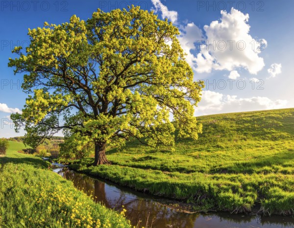 A serene landscape featuring a large tree by a stream at sunset with vibrant green grass and blooming flowers, spring landscape, the oak branch of nature, clear blue sky, idyllic atmosphere with green grass meadow, hills in the calm nature, AI generated
