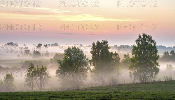 A misty field at sunrise with soft light illuminating trees and greenery, creating a serene atmosphere, spring or summer landscape, morning and the first sun lights at sunrise in fog, clear sky, idyllic nature with calm atmosphere, trees on hills, foggy river with mist, AI generated