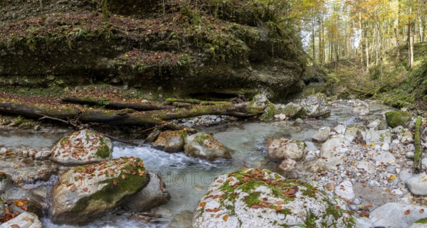 Stream in autumn, Gams, Styria, Austria