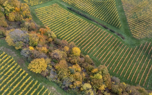 Aerial view, typical landscape in autumn with vineyards, South Styrian hills, South Styrian wine route, Styria, Austria