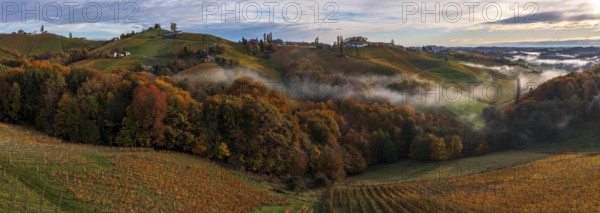 Panorama, aerial view, typical landscape in autumn with vineyards, South Styrian hills, South Styrian wine route, Styria, Austria