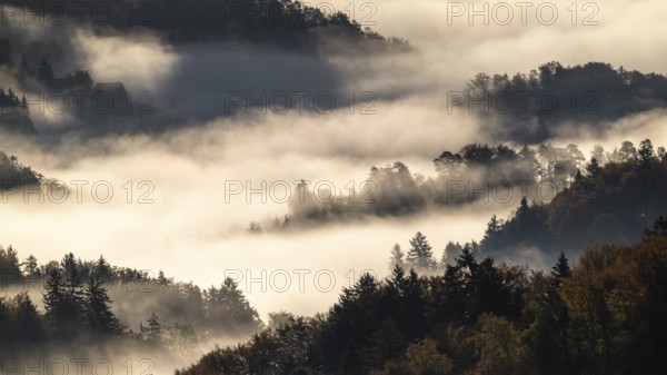 Sunrise, typical landscape in autumn with vineyards and fog, South Styrian hills, South Styrian wine route, Styria, Austria