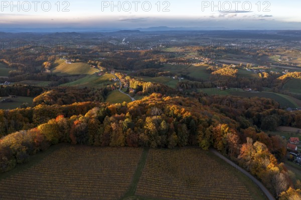 Aerial view, sunrise, typical landscape in autumn with vineyards, South Styrian hills, South Styrian wine route, Styria, Austria