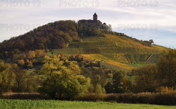 Lichtenberg Castle, Oberstenfeld, Bottwartal, Löwensteiner Mountains, vineyard, vines, viticulture, graphic, autumn colors, autumn, Baden-Württemberg, Germany
