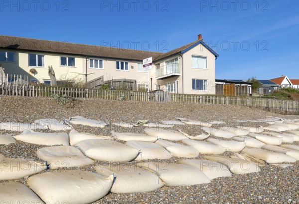For Sale estate agent signs outside houses at risk of coastal erosion, Thorpeness, Suffolk, North Sea coast, England, UK October 2025