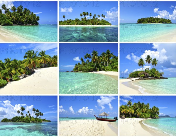 Collage of tropical islands with beach and palm trees, paradise with blue cloudy sky, turquoise water, green plant, sandy shore, wallpaper illustration, template or banner for ecology, sustainability, landscape and travel, AI generated