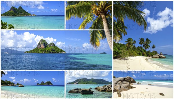 Collage of tropical islands with beach and palm trees, paradise with blue cloudy sky, turquoise water, green plant, sandy shore, wallpaper illustration, template or banner for ecology, sustainability, landscape and travel, AI generated