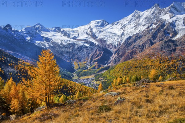 View from Kreuzboden to Saas-Fee with Alalin 4027m, Alphubel 4206m and Mischabel Group 4545m in autumn, Saas-Grund, Saasertal, Valais, Switzerland