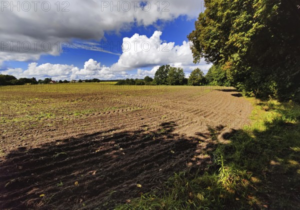 Cultural landscape, Sonnenberg municipality, Oberhavel district, Brandenburg, Germany