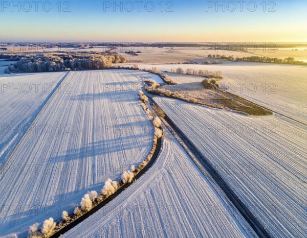 Bird Eye Perspective of Frost Covered Farmland. Seasonal Agricultural Scenery, winter and autumn scene, blue sky with golden light at sunrise, AI generated