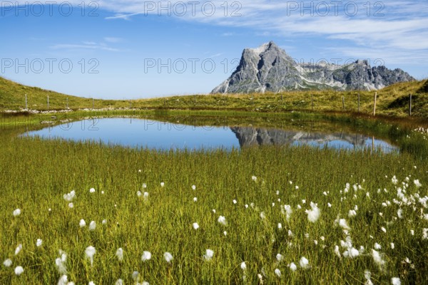 Mountain landscape and picturesque little lake, Saloberkopf, Widderstein, Warth, Bregenzerwald, Vorarlberg, Alps, Austria
