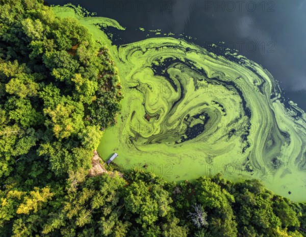 Green algae on the lake. Aerial view of nature, landscape with hills and forest in summer, cloudy sky, golden light at sunset, AI generated