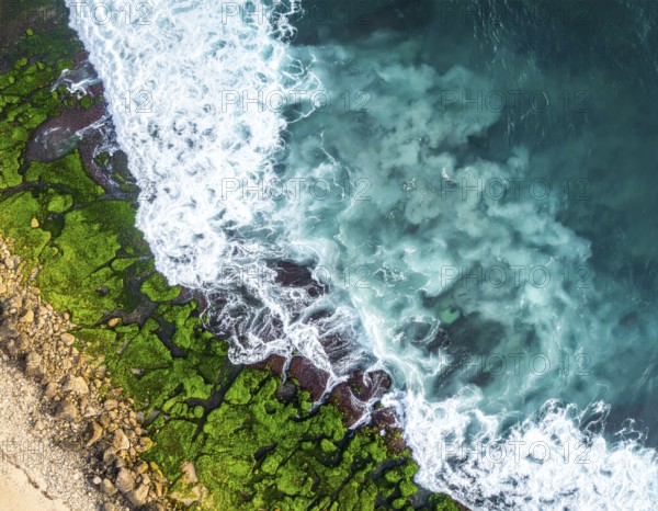Green algae on the sandy shore of an ocean. Fascinating phenomenon of wild coastline with green plants, white sands, stone, blue water and cliffs, Aerial view of a beautiful abstract unreal and textured landscape, AI generated
