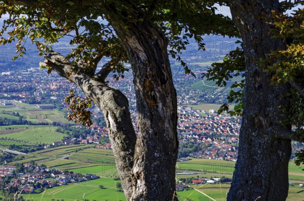 Picturesque scenery on the eaves of the Swabian Jura near Olgafels on Rossfeld in Metzingen-Glems, Baden-Württemberg, Germany