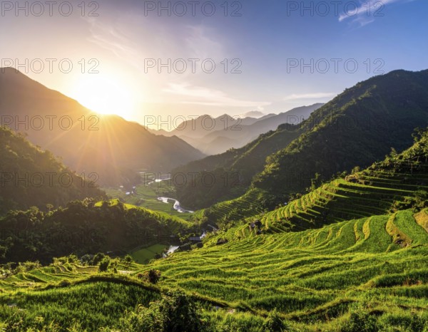 Early morning light bathes Philippines rice terraces cascading down mountain slopes, beautiful golden light, AI generated