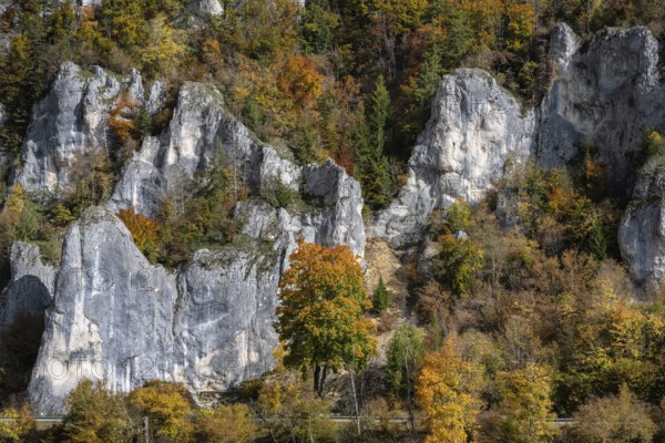 Distinctive Jurassic limestone cliffs in the upper Danube Valley, surrounded by autumn vegetation, Sigmaringen district, Baden-Württemberg, Germany