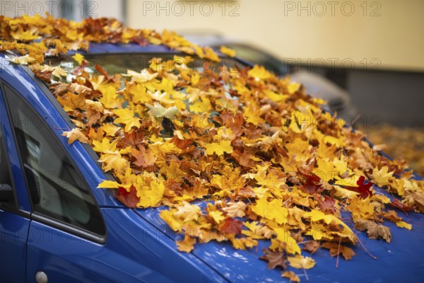 A car is covered with a thick layer of autumn leaves in autumn, Wuppertal, Germany
