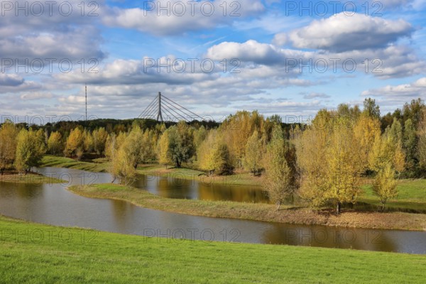 Wesel, Lower Rhine, North Rhine-Westphalia, Germany - autumn on the Lippe, trees with colorful autumn leaves in the restored river floodplain area of Büdericher Insel above the mouth of the Lippe into the Rhine, Lippe estuary nature reserve, in the back the Lower Rhine bridge Wesel